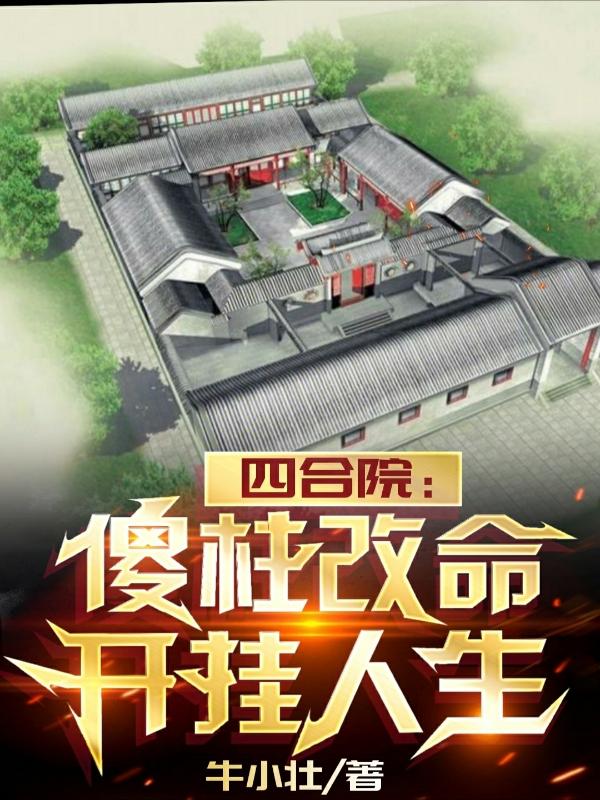 四合院:傻柱的大哥