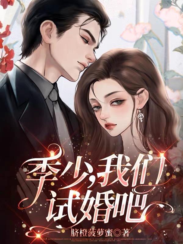 小说季先生我们离婚吧