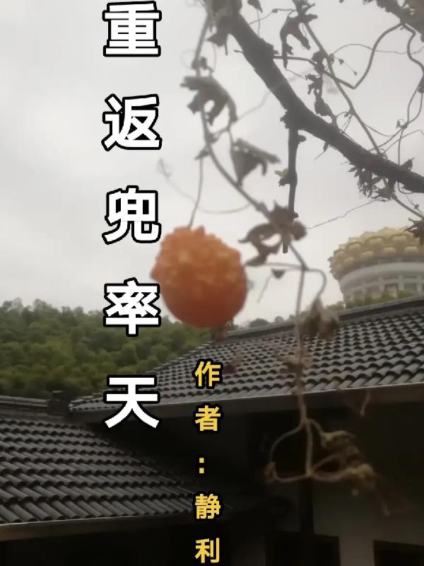 重返兜帅天