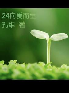 24向分金什么意思