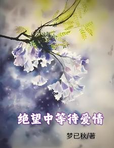 蓝花楹花语:在绝望中等待爱情