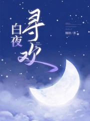 白夜追凶小说原著